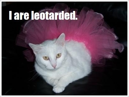 lolcats-leotard-big-brother.jpg