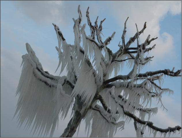 picture10.jpg