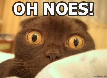 cat_ohnoes.jpg