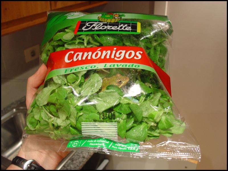salad.jpg