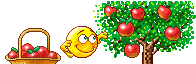 :apples: